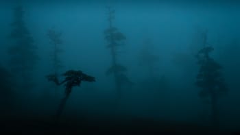 Mountain hemlock in the deep blue mist, Alaska.