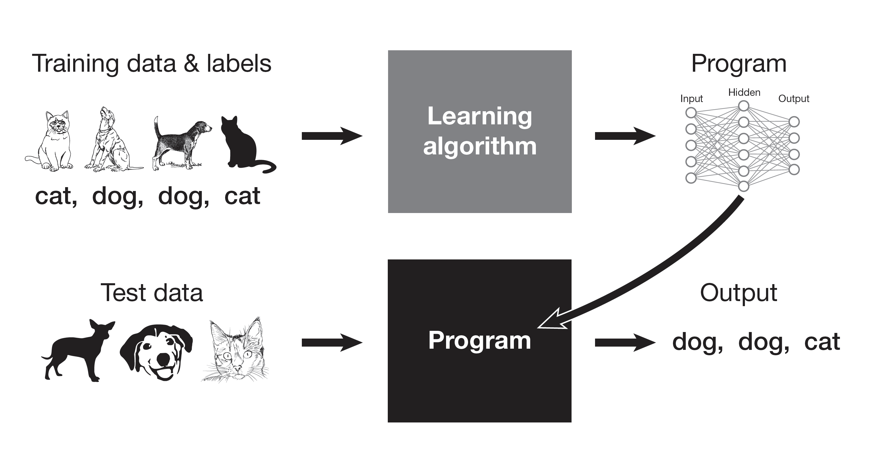 Diagram, arranged in two rows of three elements each. Row 1: Text "Training data & labels" (with pictures and labels of dogs and cats), with an arrow pointing right to a grey box with the words "Learning algorithm" inside it. From this grey box a second arrow points right to a simple schematic diagram of neural network labeled "Program".   Row 2: Text "Test data" with unlabeled pictures of two dogs followed by a cat. An arrow points right to a black box labeled "Program". Another arrow points right to the text "Output: dog, dog, cat". An additional arrow goes from "program" in row 1 to "program" in row 2.